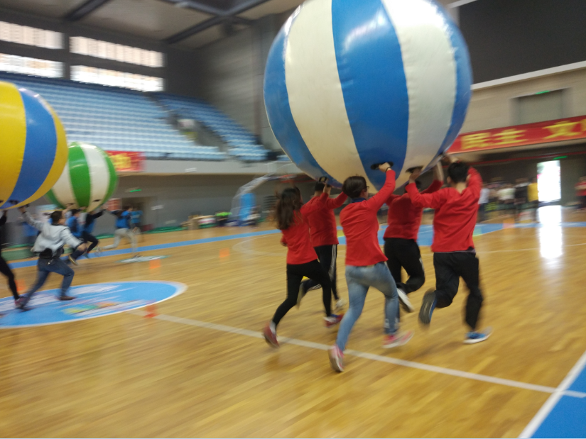 Il team dello staff di OMG ha partecipato ai giochi divertenti del lago Songshan (giardino ecologico) del 2016